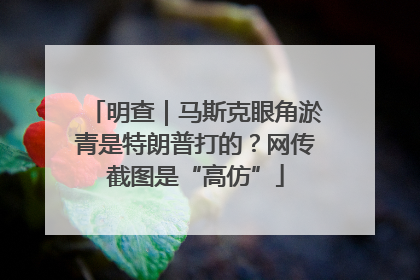 明查｜马斯克眼角淤青是特朗普打的？网传截图是“高仿”