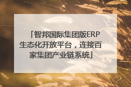 智邦国际集团版ERP生态化开放平台，连接百家集团产业链系统