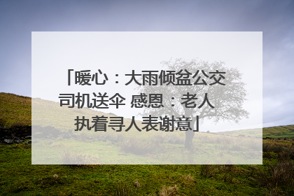 暖心：大雨倾盆公交司机送伞 感恩：老人执着寻人表谢意