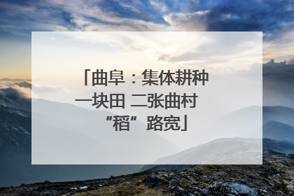 曲阜：集体耕种一块田 二张曲村“稻”路宽