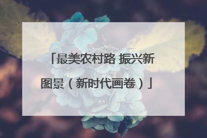 最美农村路 振兴新图景（新时代画卷）