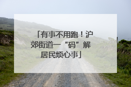 有事不用跑！沪郊街道一“码”解居民烦心事
