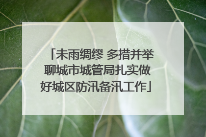 未雨绸缪 多措并举 聊城市城管局扎实做好城区防汛备汛工作