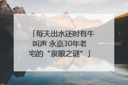 每天出水还时有牛叫声 永嘉30年老宅的“泉眼之谜”