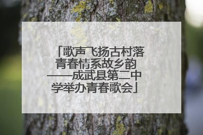 歌声飞扬古村落 青春情系故乡韵——成武县第二中学举办青春歌会