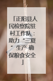 正阳县人民检察院驻村工作队：助力“三夏”生产 确保粮食安全