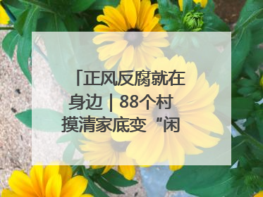 正风反腐就在身边｜88个村摸清家底变“闲”为“宝”