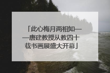 此心梅月两相知——唐建教授从教四十载书画展盛大开幕