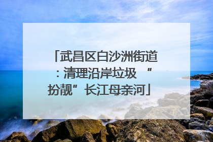武昌区白沙洲街道：清理沿岸垃圾 “扮靓”长江母亲河