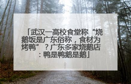 武汉一高校食堂称“烧鹅饭是广东俗称，食材为烤鸭”？广东多家烧鹅店：鸭是鸭鹅是鹅