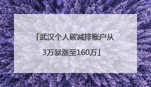 武汉个人碳减排账户从3万暴涨至160万