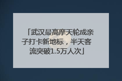 武汉最高摩天轮成亲子打卡新地标，半天客流突破1.5万人次