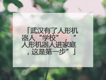 武汉有了人形机器人“学校”，“人形机器人进家庭，这是第一步”