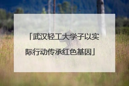武汉轻工大学子以实际行动传承红色基因