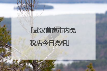 武汉首家市内免税店今日亮相