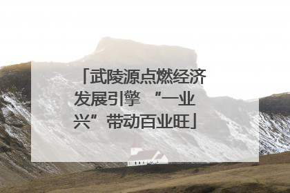武陵源点燃经济发展引擎 “一业兴”带动百业旺
