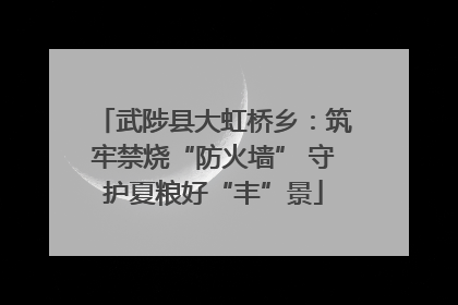 武陟县大虹桥乡：筑牢禁烧“防火墙” 守护夏粮好“丰”景