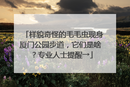 样貌奇怪的毛毛虫现身厦门公园步道，它们是啥？专业人士提醒→