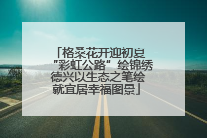 格桑花开迎初夏 “彩虹公路”绘锦绣 德兴以生态之笔绘就宜居幸福图景