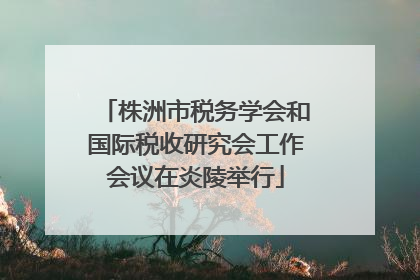 株洲市税务学会和国际税收研究会工作会议在炎陵举行