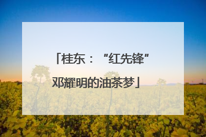 桂东：“红先锋”邓耀明的油茶梦