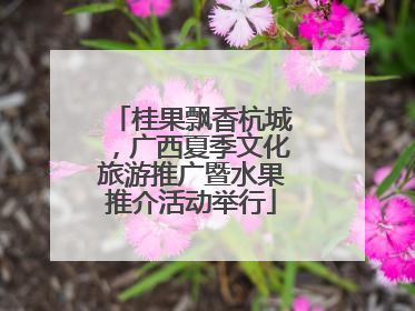 桂果飘香杭城，广西夏季文化旅游推广暨水果推介活动举行