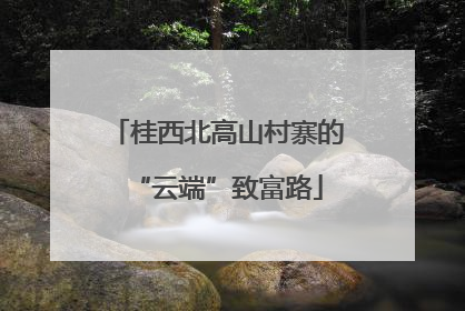 桂西北高山村寨的“云端”致富路