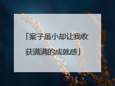 案子虽小却让我收获满满的成就感