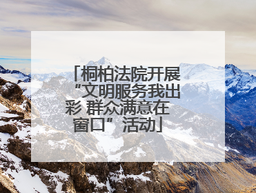 桐柏法院开展“文明服务我出彩 群众满意在窗口”活动