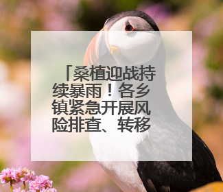 桑植迎战持续暴雨！各乡镇紧急开展风险排查、转移安置