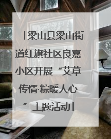 梁山县梁山街道红旗社区良嘉小区开展“艾草传情·粽暖人心”主题活动