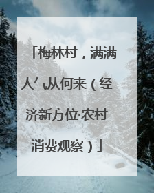梅林村，满满人气从何来（经济新方位·农村消费观察）