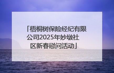 梧桐树保险经纪有限公司2025年妙墩社区新春慰问活动