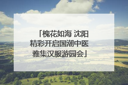 槐花如海 沈阳精彩开启国潮中医雅集汉服游园会