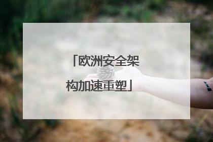 欧洲安全架构加速重塑