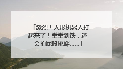 激烈！人形机器人打起来了！拳拳到铁，还会拍屁股挑衅……