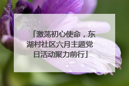 激荡初心使命，东湖村社区六月主题党日活动聚力前行