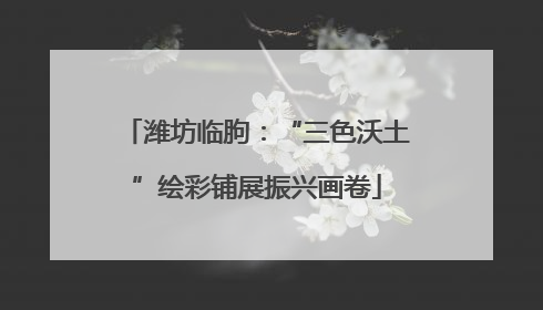 潍坊临朐：“三色沃土”绘彩铺展振兴画卷