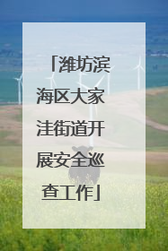 潍坊滨海区大家洼街道开展安全巡查工作