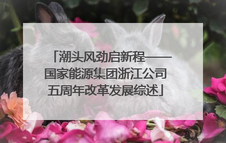 潮头风劲启新程——国家能源集团浙江公司五周年改革发展综述