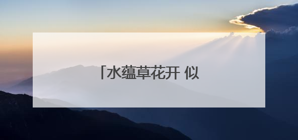 水蕴草花开 似繁星满天｜图集