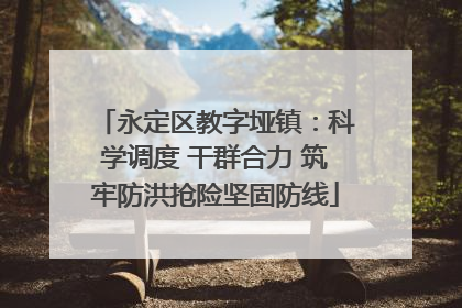 永定区教字垭镇：科学调度 干群合力 筑牢防洪抢险坚固防线