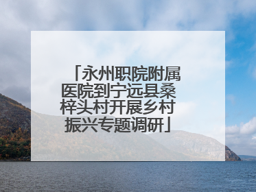 永州职院附属医院到宁远县桑梓头村开展乡村振兴专题调研