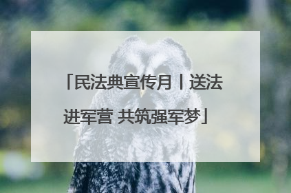 民法典宣传月丨送法进军营 共筑强军梦
