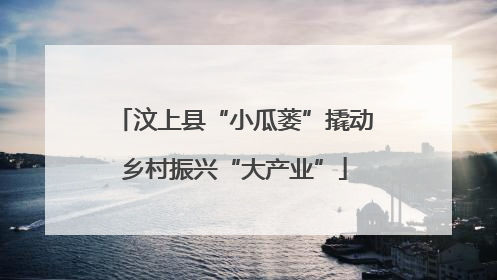 汶上县“小瓜蒌”撬动乡村振兴“大产业”
