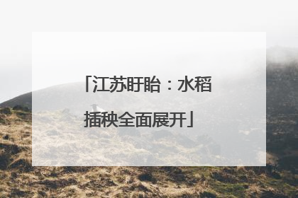 江苏盱眙：水稻插秧全面展开