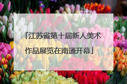 江苏省第十届新人美术作品展览在南通开幕