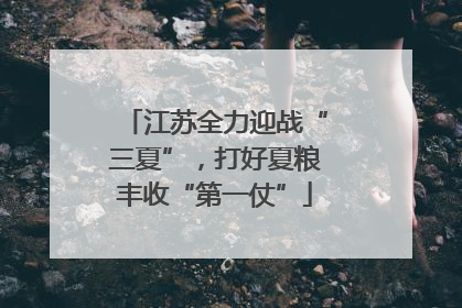 江苏全力迎战“三夏”，打好夏粮丰收“第一仗”