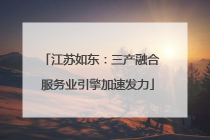 江苏如东：三产融合 服务业引擎加速发力