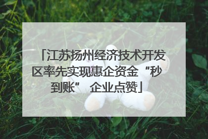 江苏扬州经济技术开发区率先实现惠企资金“秒到账” 企业点赞